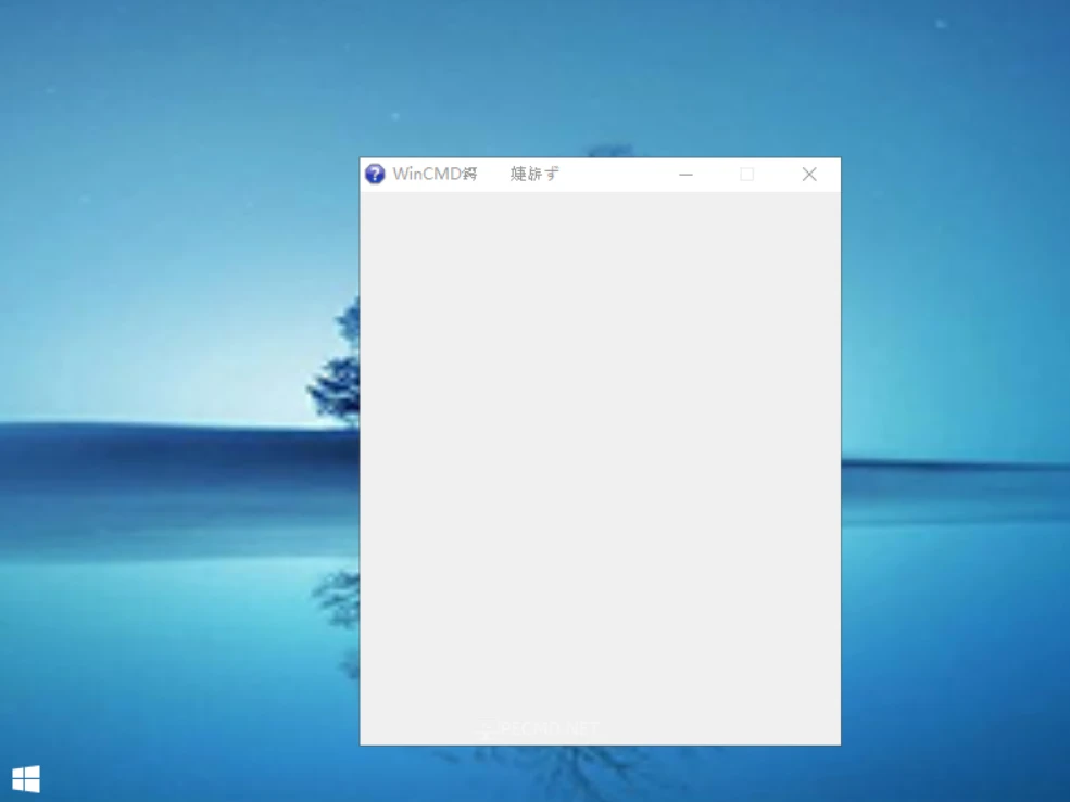 image.webp