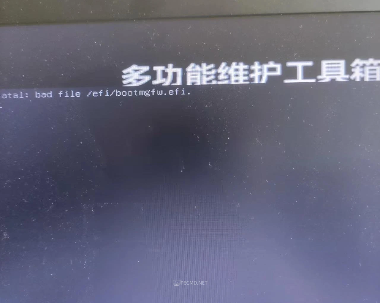 4.webp