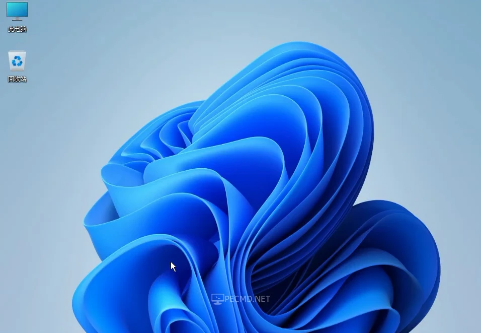 image.webp