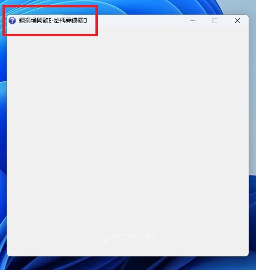 image.webp