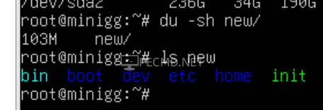 image.webp
